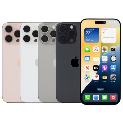 Apple iphone pro max 256gb - apple, 16